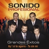 Sonido Profesional - Hechicera Ringtone Download Free MP3