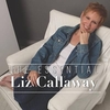 Liz Callaway - Once Upon A December Ringtone Download Free MP3