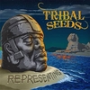 Tribal Seeds Feat. Maad T-Ray - Rock The Night Ringtone Download Free MP3