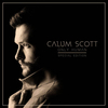 Calum Scott - No Matter What Ringtone Download Free MP3