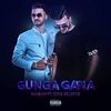 2FCRW & The Ryderz Feat. DAMIAN & King Selecta - Gunga Gana Ringtone Download Free MP3