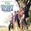 The Moody Blues - Nights In White Satin Ringtone Download Free MP3