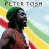 Peter Tosh - Fools Die Ringtone Download Free MP3