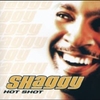 Shaggy - Why Me Lord Ringtone Download Free MP3