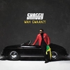 Shaggy Feat. Stacy Barthe & Shenseea - Supernatural Ringtone Download Free MP3