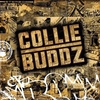 Collie Buddz - Tomorrow's Another Day Ringtone Download Free MP3