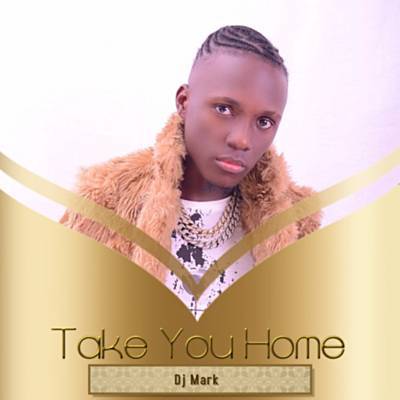 Take You Home Ringtone Download Free