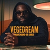 Vegedream - Laisser Tomber Ringtone Download Free MP3