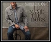 Blake Shelton - I'll Name The Dogs Ringtone Download Free MP3