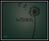 Wishing Ringtone Download Free