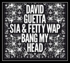 David Guetta Feat. Sia & Fetty Wap - Bang My Head Ringtone Download Free MP3