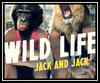 Jack & Jack - Wild Life Ringtone Download Free MP3