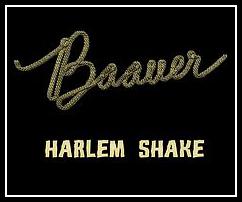 Harlem Shake Ringtone Download Free