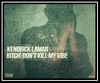 Kendrick Lamar - Bitch, Don't Kill My Vibe Ringtone Download Free MP3