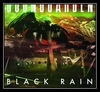 Soundgarden - Black Rain Ringtone Download Free MP3