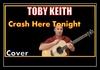 Toby Keith - Crash Here Tonight Ringtone Download Free MP3