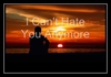 Nick Lachey - I Can't Hate You Anymore Ringtone Download Free MP3