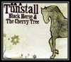 KT Tunstall - Black Horse & The Cherry Tree Ringtone Download Free MP3