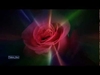 Leo Rojas - The Rose Ringtone Download Free MP3