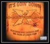 X-Ecutioners - It's Goin' Down Ringtone Download Free MP3