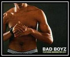 Bad Boyz Ringtone Download Free