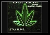 Dr. Dre Feat. Snoop Dog - Still D.R.E. Ringtone Download Free MP3