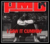 PMD - I Saw It Cummin' Ringtone Download Free MP3