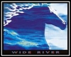 Steve Miller Band - Wide River Ringtone Download Free MP3