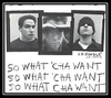 Beastie Boys - So What'cha Want Ringtone Download Free MP3