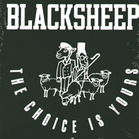 Black Sheep - The Choice Is Yours Ringtone Download Free MP3