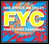 Fine Young Cannibals - She Drives Me Crazy Ringtone Download Free MP3