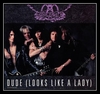 Aerosmith - Dude (Looks Like A Lady) Ringtone Download Free MP3