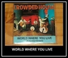 Crowded House - World Where You Live Ringtone Download Free MP3