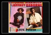 Dionne Warwick & Jeffrey Osborne - Love Power Ringtone Download Free MP3