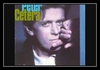 Peter Cetera - Big Mistake Ringtone Download Free MP3