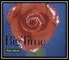 Peter Gabriel - Big Time Ringtone Download Free MP3