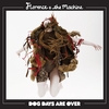 Florence + The Machine - Dog Days Are Over Ringtone Download Free MP3