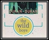 Duran Duran - The Wild Boys Ringtone Download Free MP3