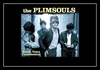 The Plimsouls - A Million Miles Away Ringtone Download Free MP3