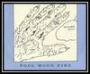 Walter Egan - Fool Moon Fire Ringtone Download Free MP3