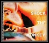 Peter Gabriel - Shock The Monkey Ringtone Download Free MP3