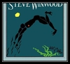 Steve Winwood - Arc Of A Diver Ringtone Download Free MP3