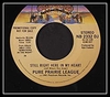 Pure Prairie League - Still Right Here In My Heart Ringtone Download Free MP3