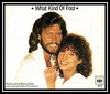 Barbra Streisand & Barry Gibb - What Kind Of Fool Ringtone Download Free MP3