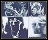 The Rolling Stones - Emotional Rescue Ringtone Download Free MP3