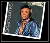 David Gates - Where Does The Lovin' Go Ringtone Download Free MP3