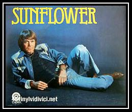 Sunflower Ringtone Download Free