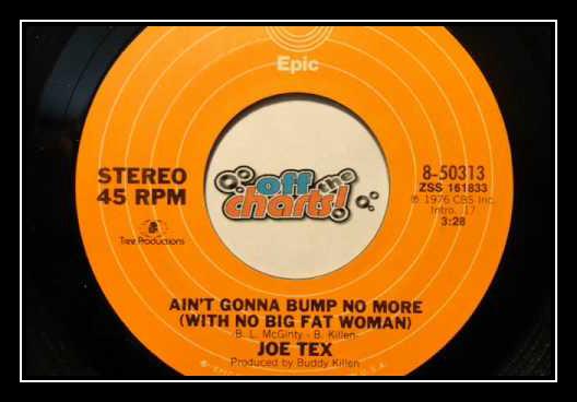 Ain't Gonna Bump No More (with No Big Fat Woman) Ringtone Download Free