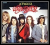 Aerosmith - Last Child Ringtone Download Free MP3