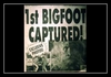 Bigfoot Ringtone Download Free